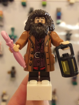 Íman Hagrid (Harry Potter)