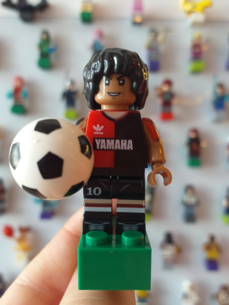 Íman Maradona (Newell's Old Boys)